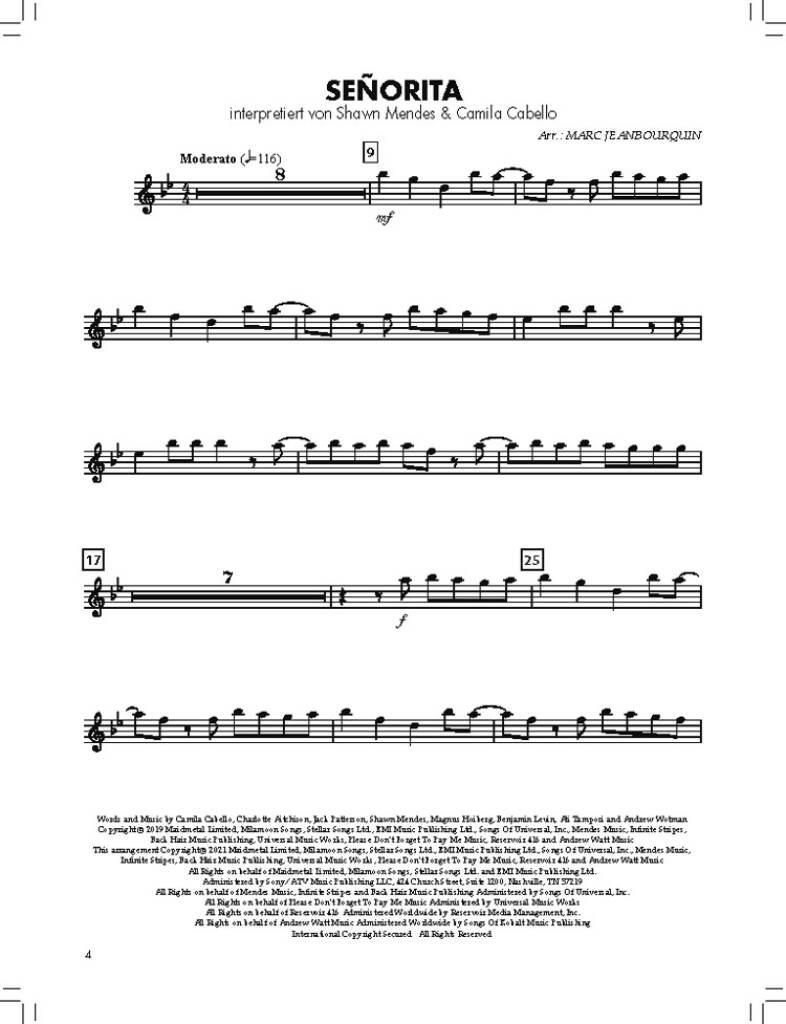 BläserKlasse Chart-Hits - Flöte