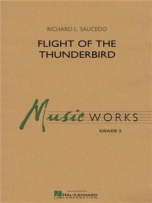 Flight of the Thunderbird